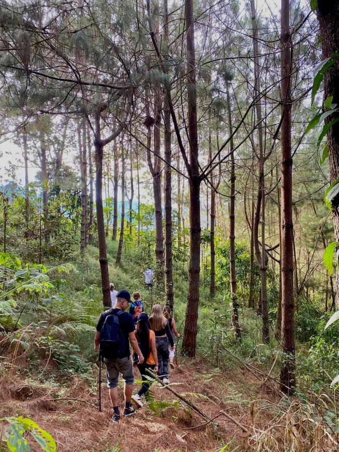 Hass Glamping Jericoc (Antioquia)
